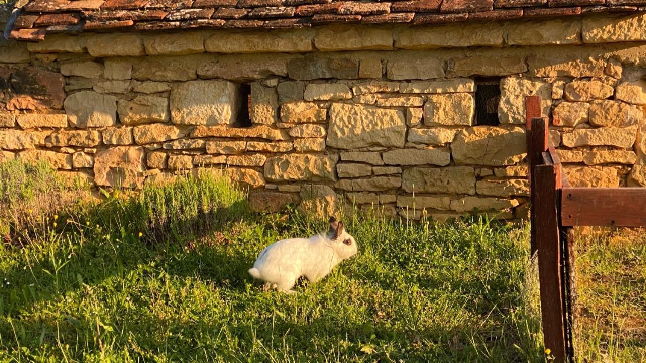 Eco-Hameau Du Sentier Des Sources Villa Sarlat-la-Canéda Dış mekan fotoğraf