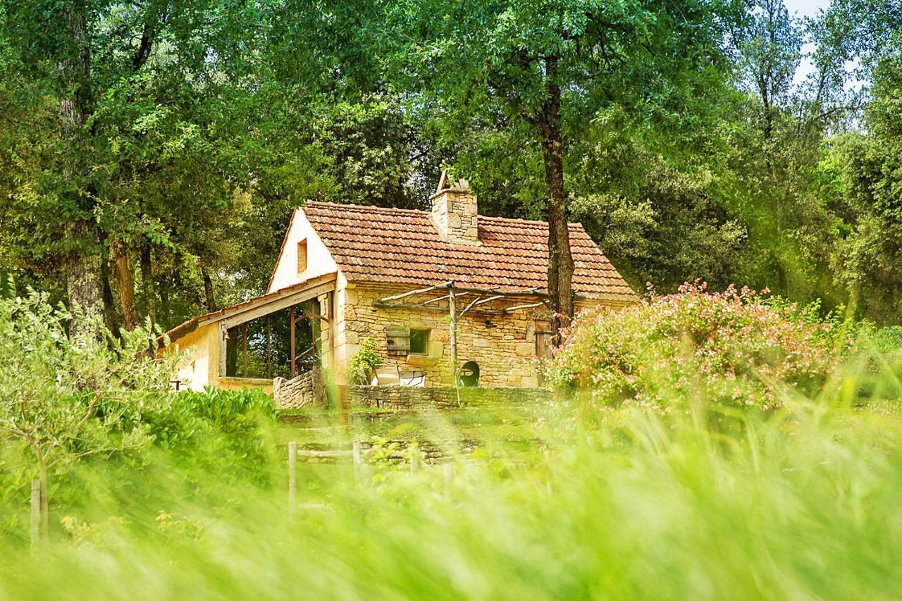 Eco-Hameau Du Sentier Des Sources Villa Sarlat-la-Canéda Dış mekan fotoğraf